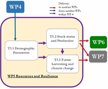 Overview of work package 5