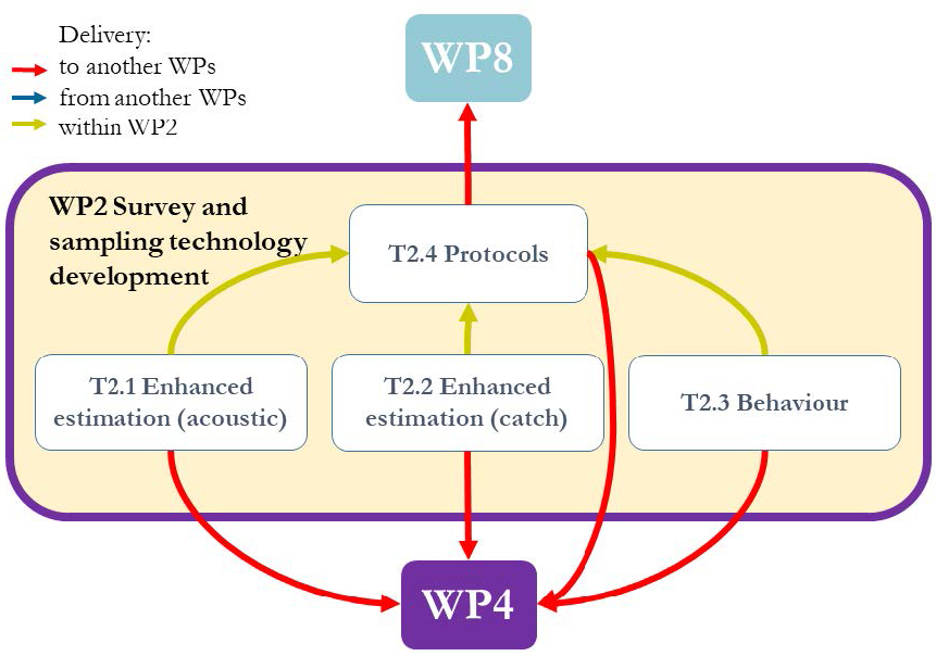 Overview of work package 2