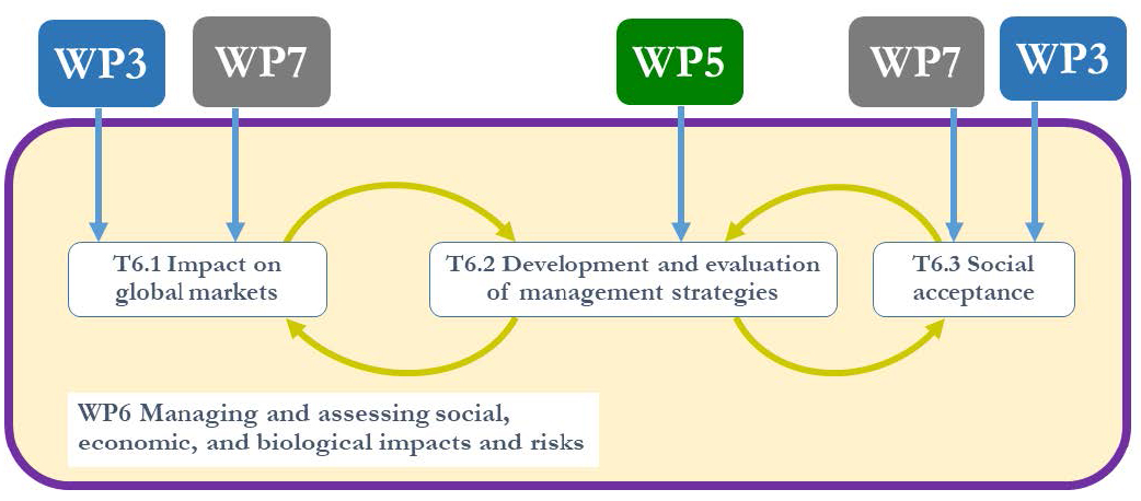 Overview of work package 6