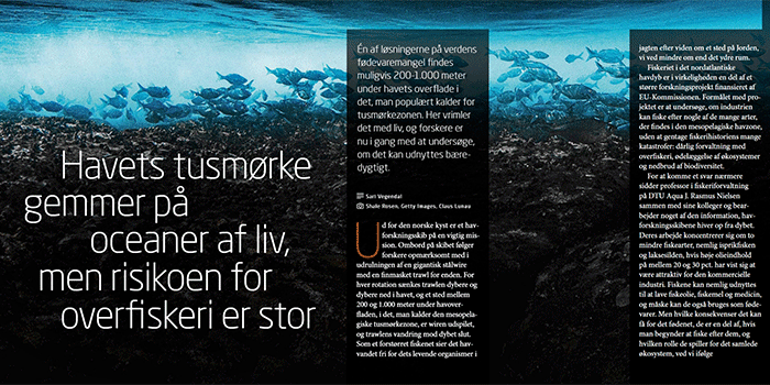 Part of article in the DTU profile magazine DYNAMO