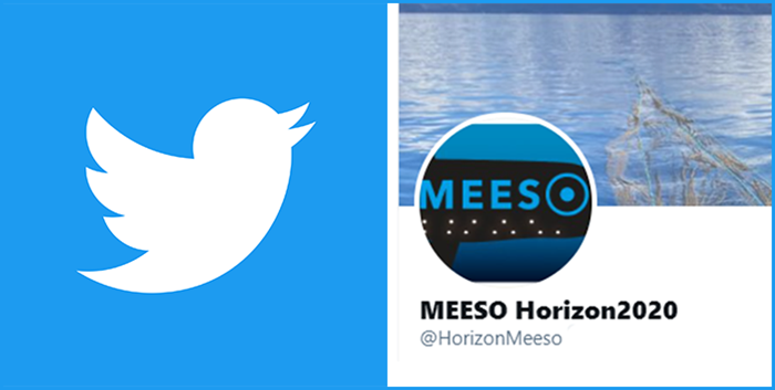 Twitter logo and MEESO on Twitter