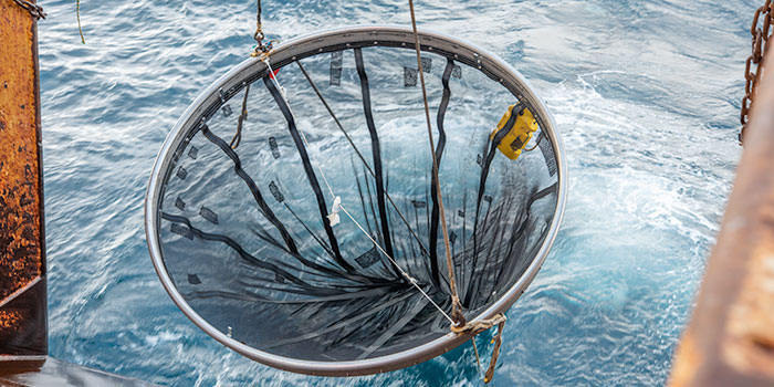 MIK or Midwater Ring Net. Photographer: Svanhildur Egilsdóttir, MFRI.