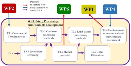 Overview of work package 3