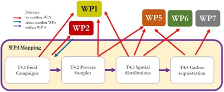 Overview of work package 4