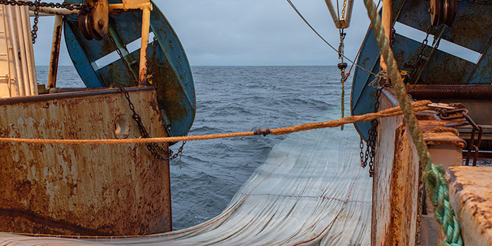 Macrozooplankton trawl sampling. Photographer: Svanhildur Egilsdóttir, MFRI.