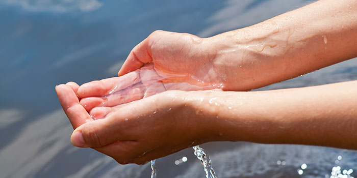 Hands holding water. Photo: Colourbox.