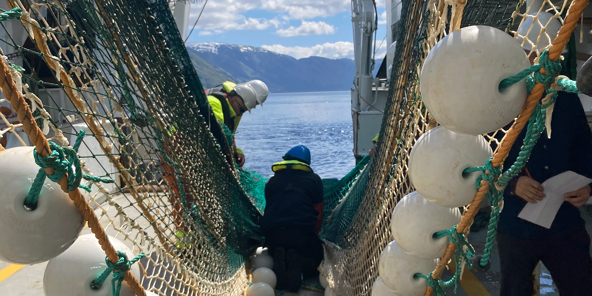 Non-graded trawl developed for abundance estimated of mesopelagic resources. Photo: IMR.