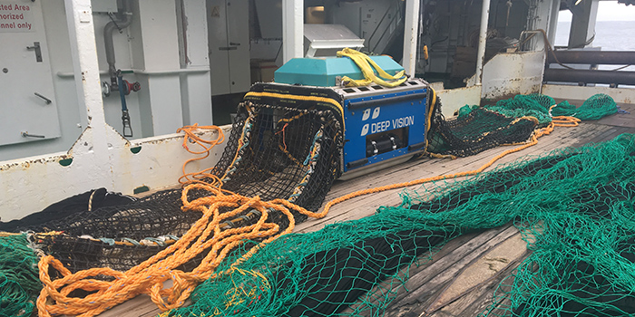 MEESO project. Photo: Webjørn Melle