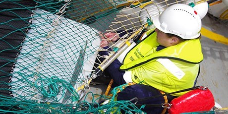 Mel Underwood (Institute of Marine Research, Norway) places a wide band acoustic system in a trawl used to sample mesopelagic organisms. Photo: Shale Rosen, Institute of Marine Research.